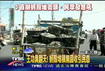 王功臭翻天! 蚵殼堆積無回收引民怨