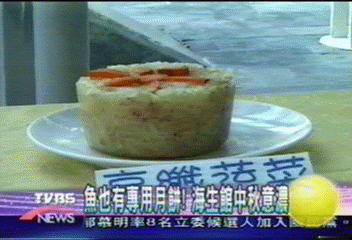 魚也有專用月餅！海生館中秋意濃
