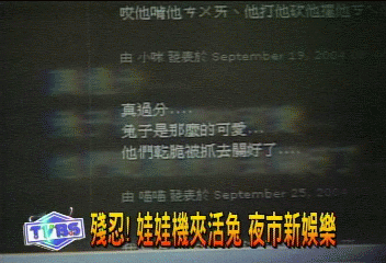 殘忍！　娃娃機夾活兔　夜市新娛樂
