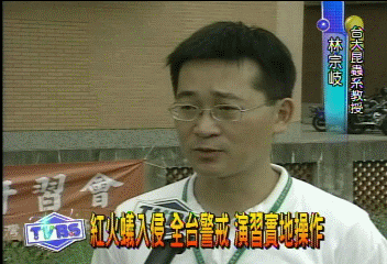 紅火蟻入侵　全台警戒　演習實地操作