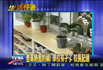 登革熱惹的禍！　學校有孑孓　校長記過