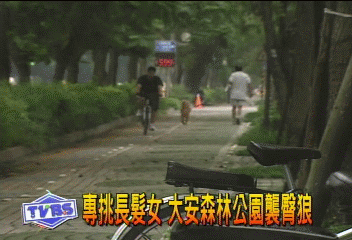 專挑長髮女 大安森林公園襲臀狼