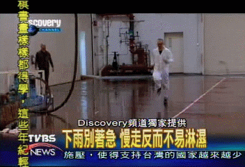 〈獨家〉避雨要跑還是走？　Disovery專家告訴你