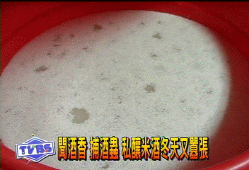 聞酒香 捕酒蟲 私釀米酒冬天又囂張