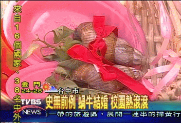 史無前例 蝸牛結婚 校園熱滾滾