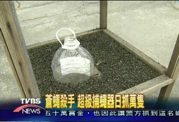 蒼蠅殺手 超級捕蠅器日抓萬隻