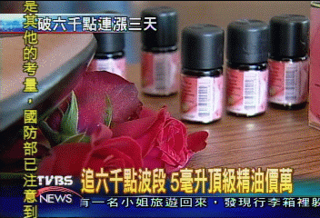 耗資六千萬　頂級SPA搶攻中台灣市場
