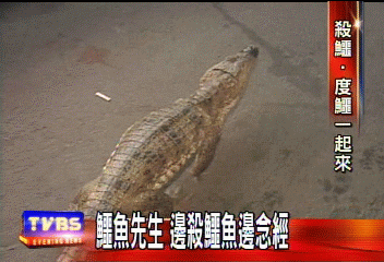 鱷魚先生　邊殺鱷魚邊念經