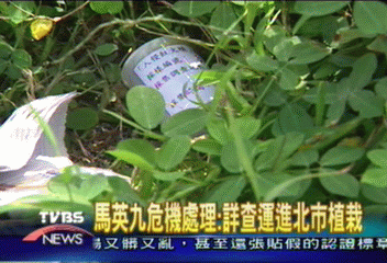 北市隱匿疫情？　紅火蟻險入侵國稅局