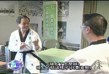 DPP北市北聯合競選　「拳」數大不同