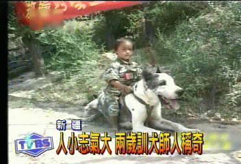 人小志氣大 2歲訓犬師人稱奇