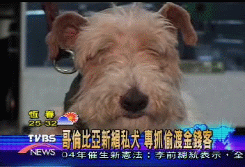 哥倫比亞新緝私犬 專抓偷渡金錢客