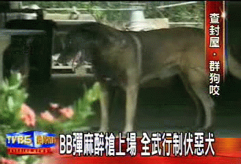 查封房屋遭狗圍攻　員警鎖匠掛彩