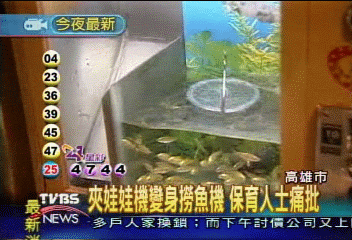 夾娃娃機變成撈魚機 保育人士痛批