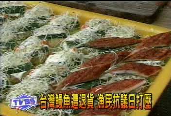 鰻魚遭日本退貨 鰻農抗議改「內銷」