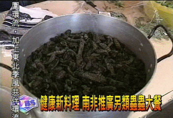 健康新料理 南非推廣另類蟲蟲大餐