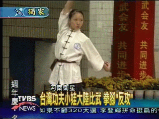 〈獨家〉台灣功夫小子耍醉拳　河南會群雄