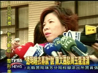周玉蔻控陳文茜 向台南企業家詐財