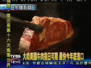 解禁！美國牛肉　最快年底恢復進口