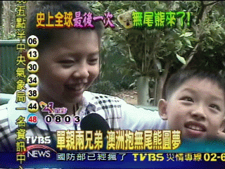 【寶貝我們的希望】單親兩兄弟　澳洲抱無尾熊圓夢
