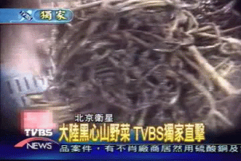 大陸黑心山野菜 TVBS獨家直擊