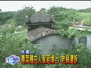 人家的祖墳　他種菜　老翁遭起訴