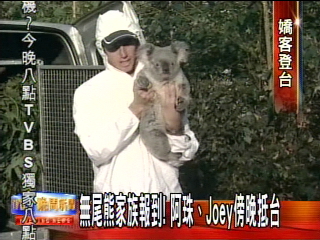 無尾熊家族報到! 阿珠、Joey傍晚抵台