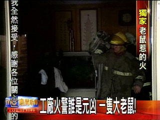 工廠火警誰是元凶 一隻大老鼠!