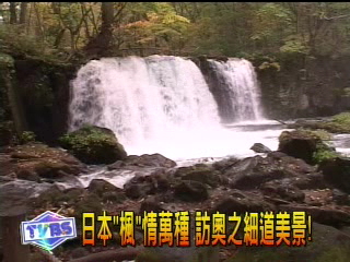 日本「楓」情萬種 訪奧之細道美景!