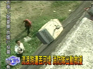 流浪狗遭丟河堤 消防隊出動救援