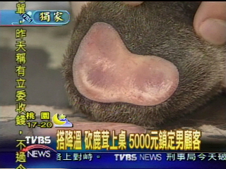 〈獨家〉太補了！　5千元鹿茸大餐瞄準男性