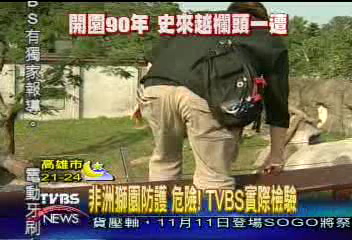 非洲獅園防護 危險! TVBS實際檢驗