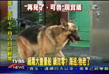 緝毒犬會暈船 績效零?海巡:牠老了