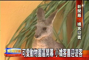 動物園喜事 可愛動物區新開放