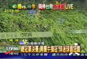 牛隊成軍九年首奪冠　全場陷瘋狂