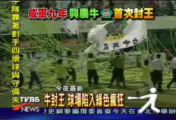 牛封王 球場陷入綠色瘋狂