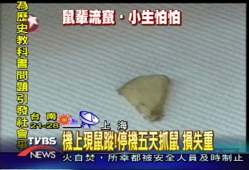 機上現鼠蹤! 停機五天抓鼠 損失重