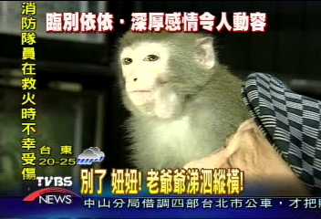 別了　妞妞！　老爺爺涕泗縱橫！
