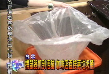 捕鼠器抓到活貓 咖啡店直接丟垃圾桶