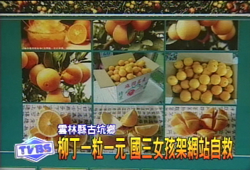 一元柳丁網站網址?