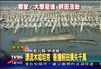 〈獨家〉漂流木如坦克 衝撞蚵田損失千萬