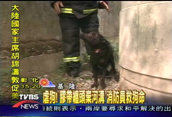 虐狗!膠帶纏頭棄河溝 消防員救狗命