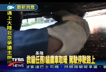 救貓任務!貓鑽車取暖 駕駛停駛路上