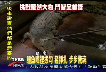 鱷魚嘴裡拔勾 猛掙扎 步步驚魂