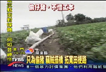 設護城河也沒用！竹筏偷豬　全搬走
