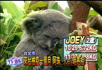 來台檢疫一個月 阿珠、JOEY明亮相!
