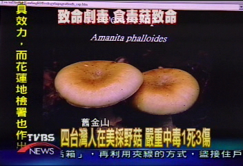 誤把毒菇當蘑菇　台移民1死3重病