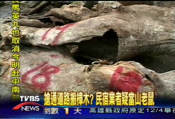搶通道路搬樟木？　民宿業者疑當山老鼠