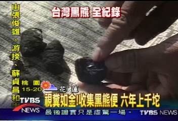 視糞如金!收集黑熊便 6年上千坨