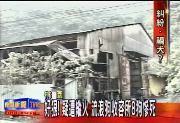好狠!疑遭縱火 流浪狗收容所8狗慘死